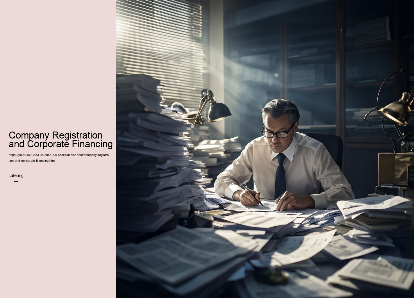 Company Registration and Corporate Financing