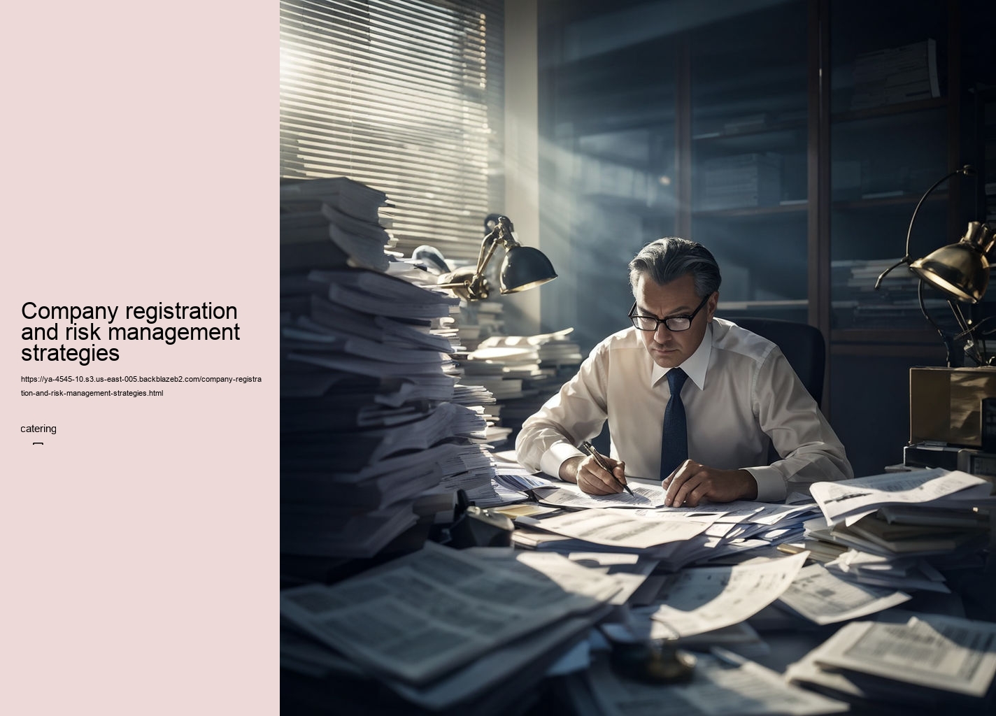 Company registration and risk management strategies